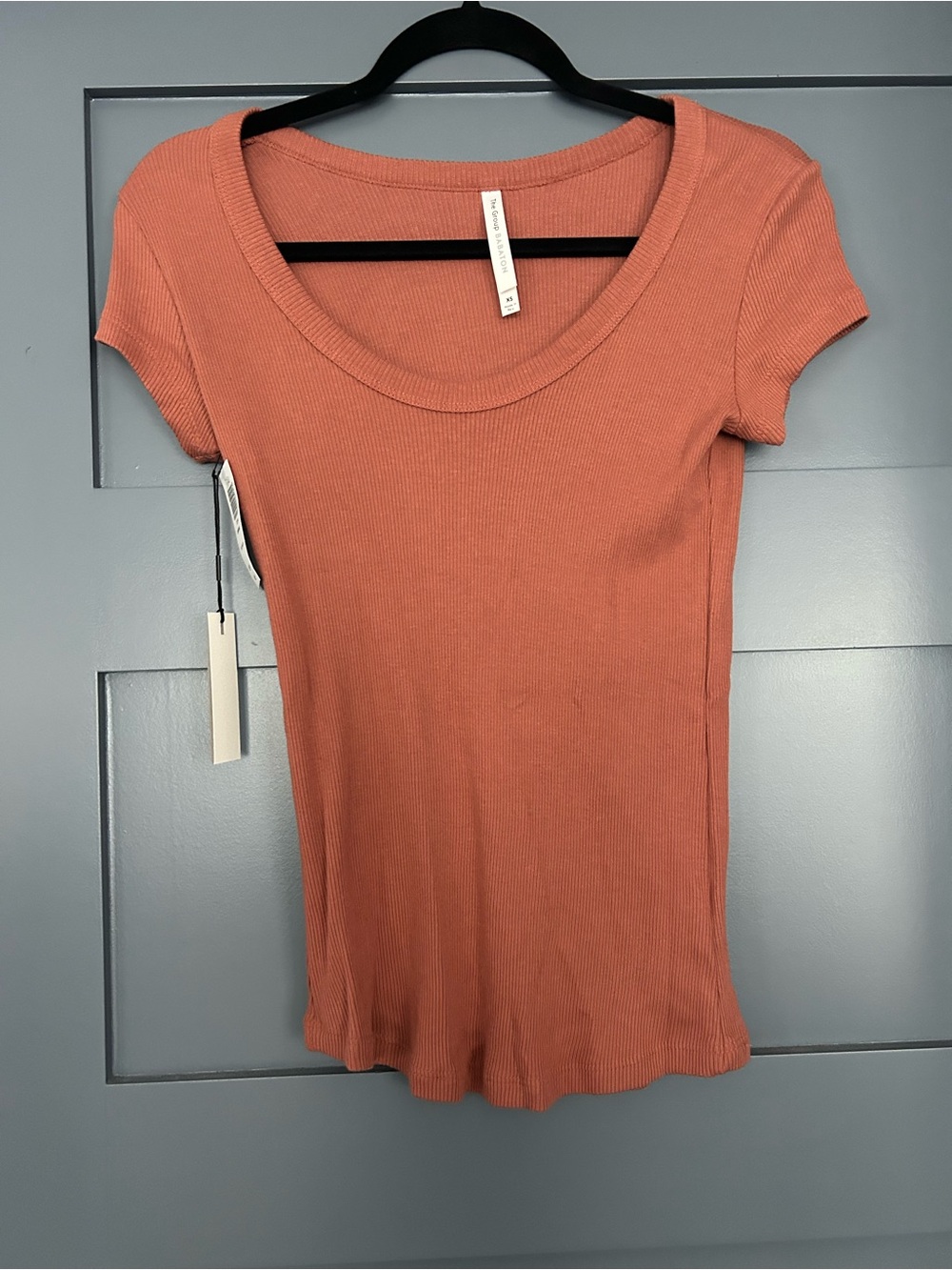 NWT Aritzia Oriana T Shirt